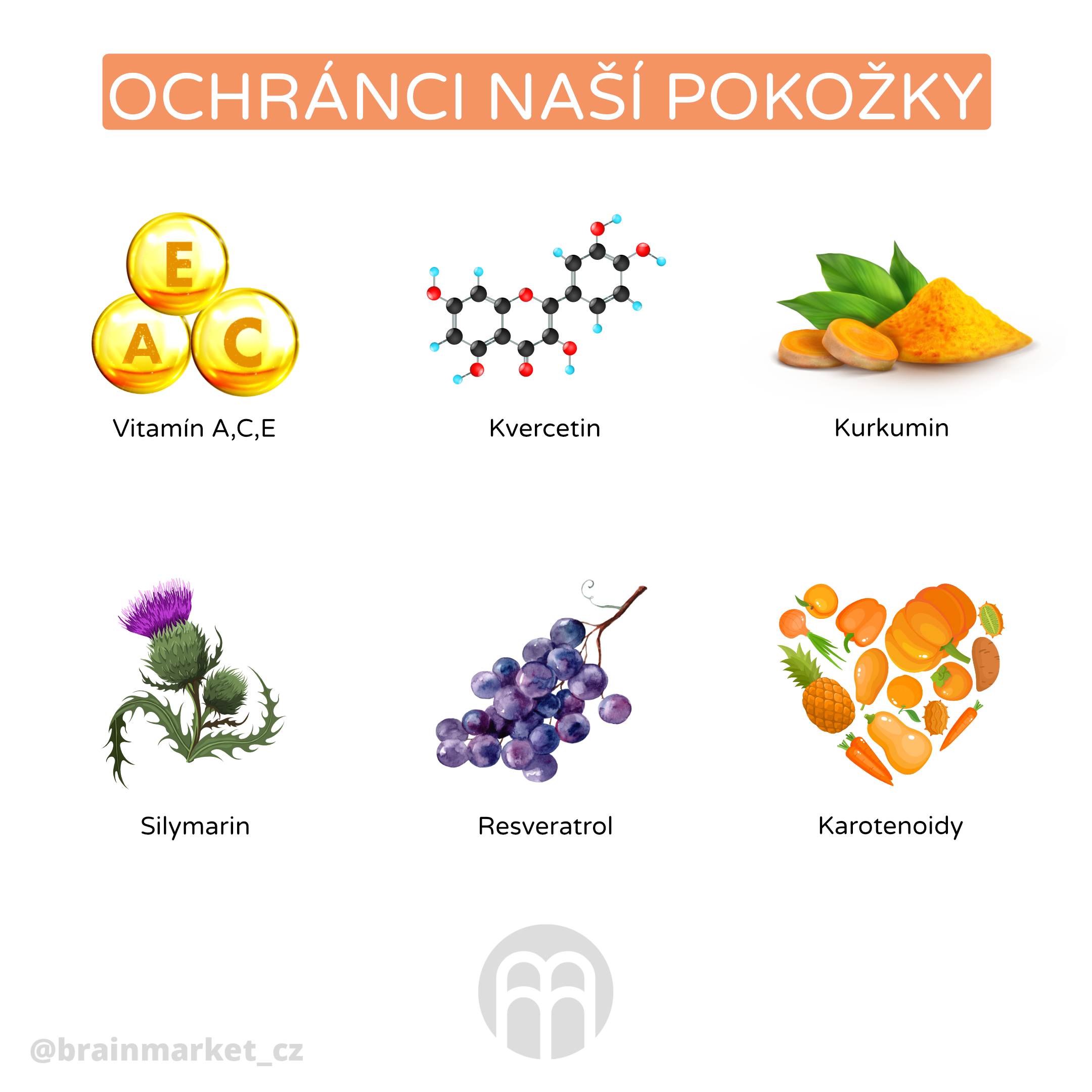 ochranci pokozky_infografika_cz